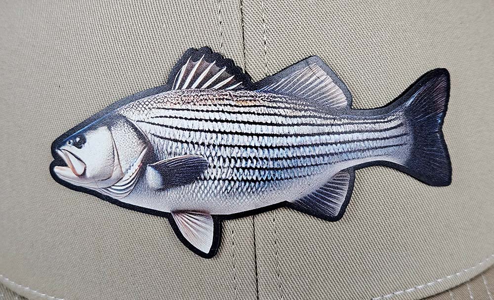 Striped Bass Hat